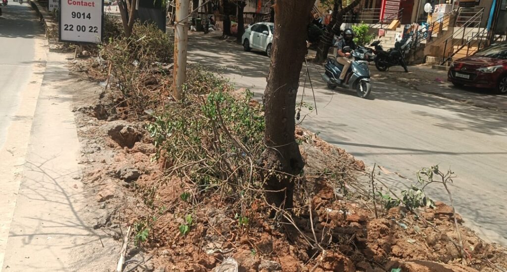 సుందరీకరణ పేరుతో పచ్చని మొక్కలను చంపుతారా..?