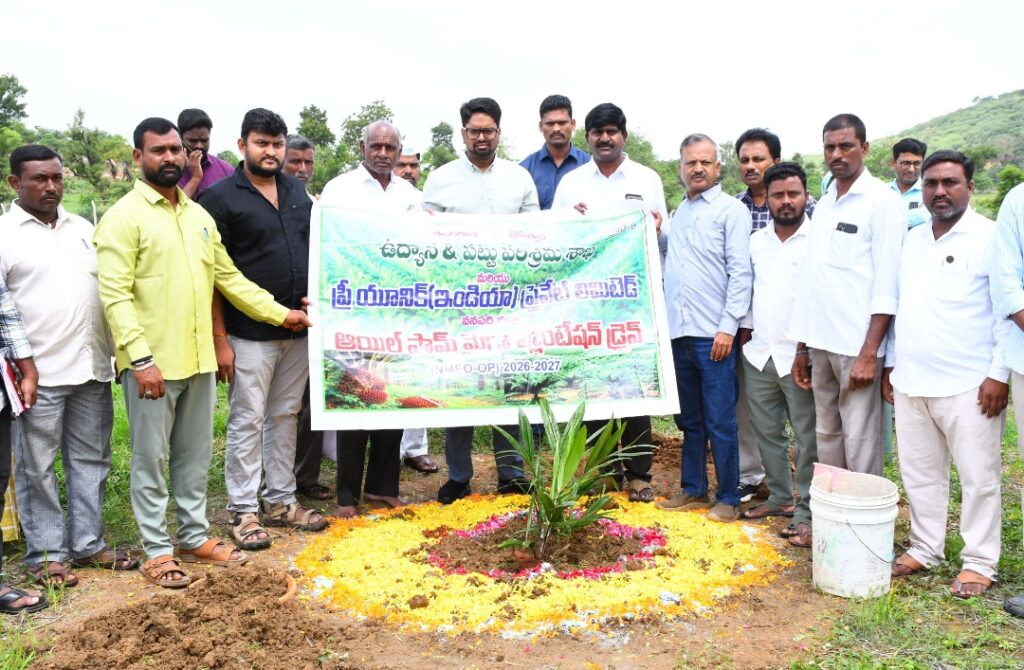 ఎల్‌నినోతో ఆయిల్‌పామ్‌ మేలు